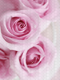 rose - Ilmainen animoitu GIF