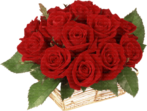 red roses bouquet flowers sunshine3 - PNG gratuit