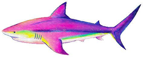 shark by e.mooreart - GIF animate gratis