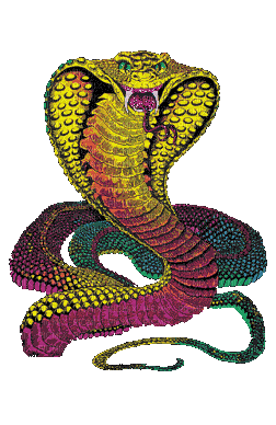 snakes bp - Darmowy animowany GIF