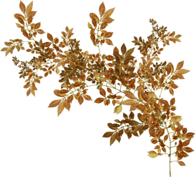 autumn - безплатен png