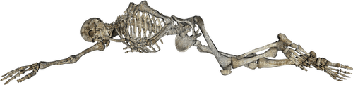 Skeleton Bb2 - png gratis