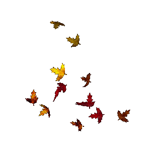 leaves laub feuilles - Zdarma animovaný GIF