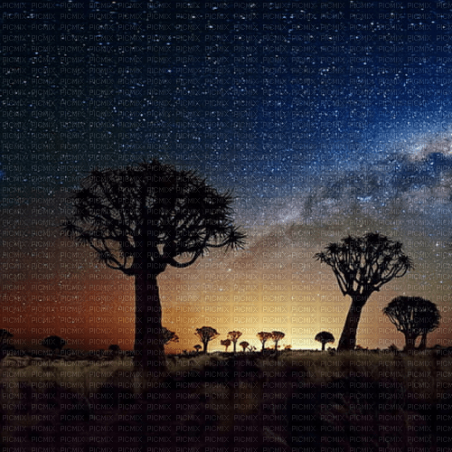 Rena Afrika Night Nacht Hintergrund - gratis png