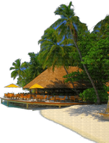 Insel - PNG gratuit