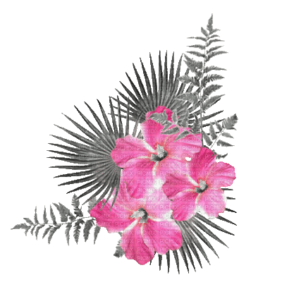 soave deco flowers summer branch animated tropical - GIF animado grátis