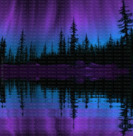 Background Night Forest - Δωρεάν κινούμενο GIF