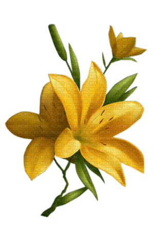 Blue DREAM  70 _ flowers_lily - Free PNG