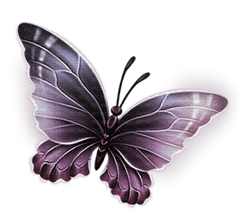 Kaz_Creations Deco Butterflies Butterfly Colours - gratis png