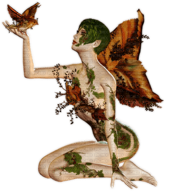 fairy fantasy nature laurachan - darmowe png