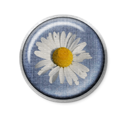 Jeans Button Blue Daisy White Yellow - Bogusia - gratis png
