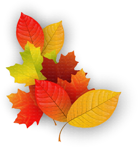 Autumn Bb2 - δωρεάν png