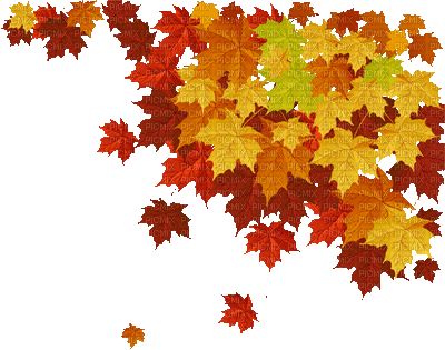fall - Безплатен анимиран GIF