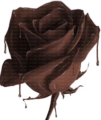 Chocolate Rose Brown - Bogusia - GIF animado grátis