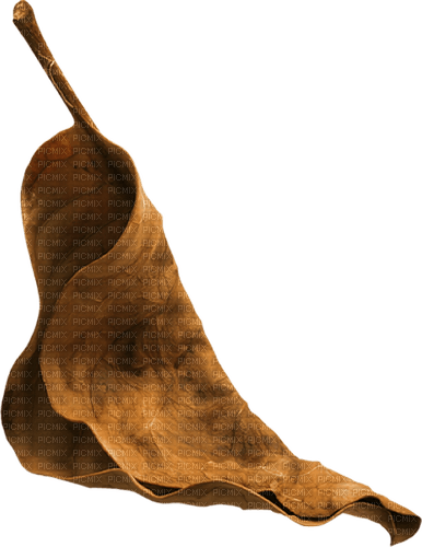 autumn deco kikkapink png leaf brown - png gratis