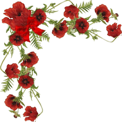 flowers by nataliplus - PNG gratuit