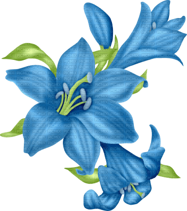 blue lily - gratis png