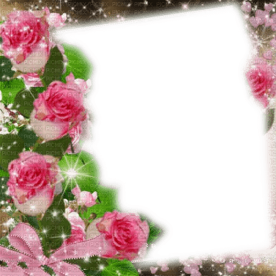 frame cadre flowers - 免费PNG