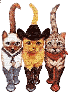 cowboy cats - Gratis animeret GIF