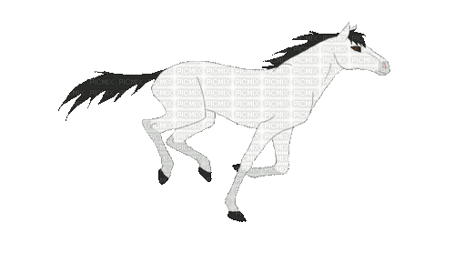 horse - Ilmainen animoitu GIF