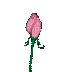 Gif mini rose animé - 無料のアニメーション GIF