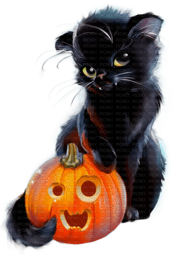 halloween cat with pumpkin by nataliplus - gratis png