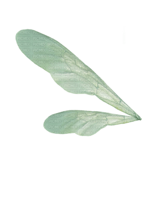 wings katrin - ücretsiz png