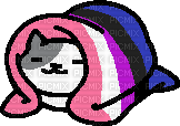 Genderfluid cat - PNG gratuit