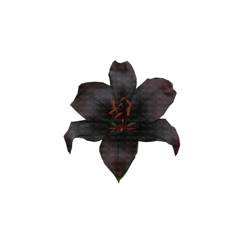 kikkapink deco scrap dark gothic flower - zadarmo png