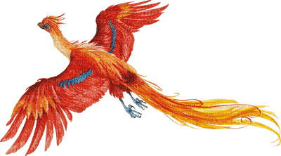 fawkes harry potter phoenix - png ฟรี