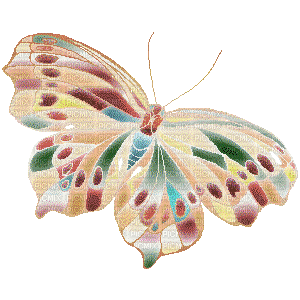 papillon ( - Бесплатный анимированный гифка
