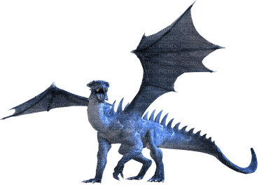 dragon  by nataliplus - 無料png