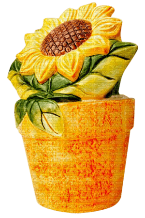 Sunflower - Free PNG