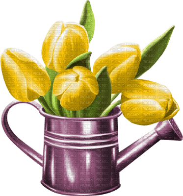 yellow tulips Bb2 - zadarmo png