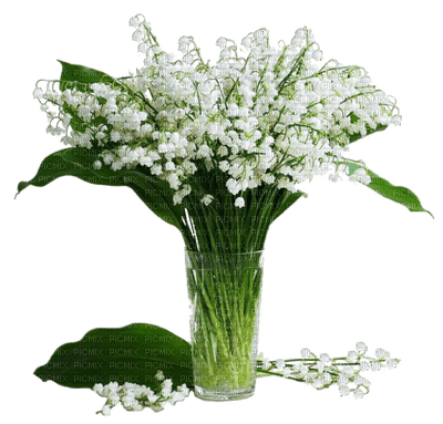 patymirabelle fleurs muguet - png gratuito
