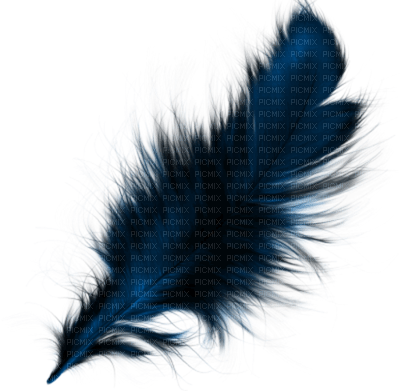 Feather - 免费PNG