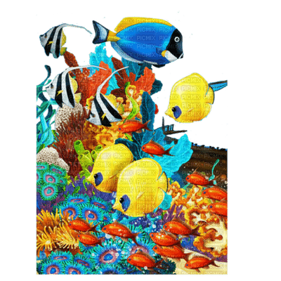 loly33 mer poisson - png ฟรี