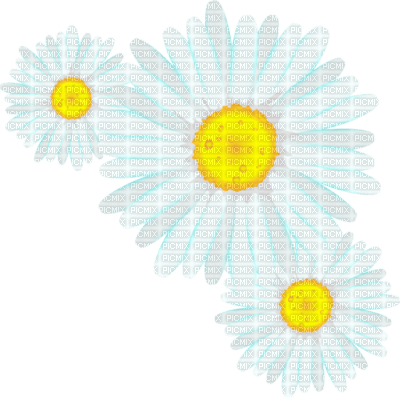 fleur - ücretsiz png