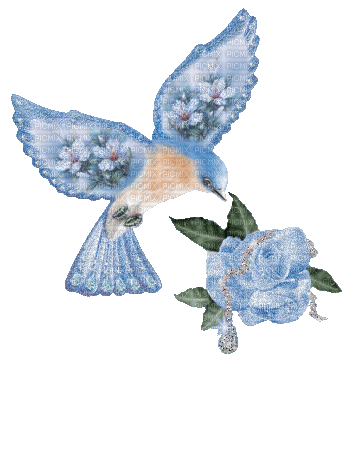 Blue Bird with Blue Rose - Bezmaksas animēts GIF
