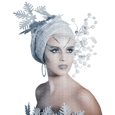 The Snow Queen1 Nitsa - gratis png