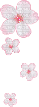 Fleurs - Darmowy animowany GIF