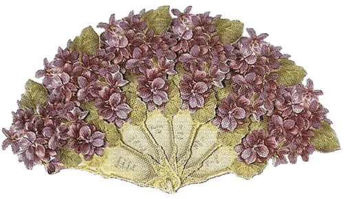 Fächer, Veilchen, Blumen - nemokama png
