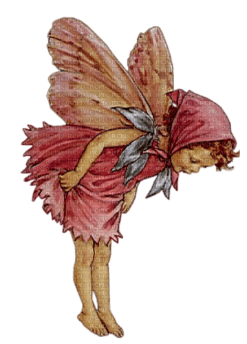 fairy by nataliplus - PNG gratuit