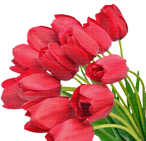 Frühling, Blumen - GIF animado gratis