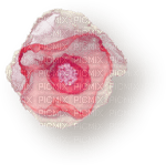 Fleur  Rose Blanc:) - 免费PNG