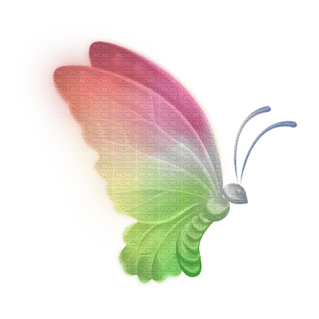 Schmetterling Butterfly - PNG gratuit