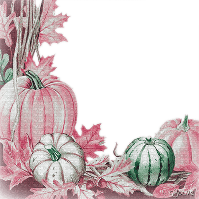 soave frame deco autumn corner tanksgiving pumpkin - фрее пнг