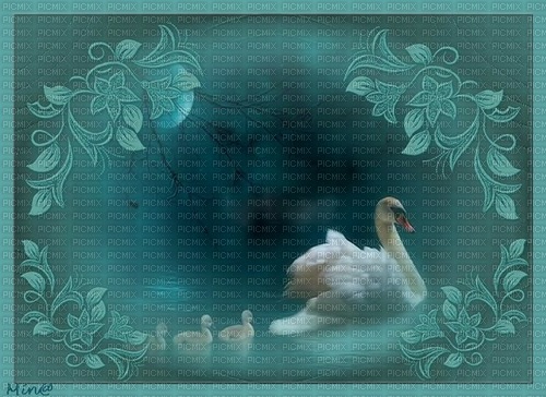 bg blå landskap-svanar--background..swan - 無料png
