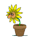 animated sick flower - Zdarma animovaný GIF