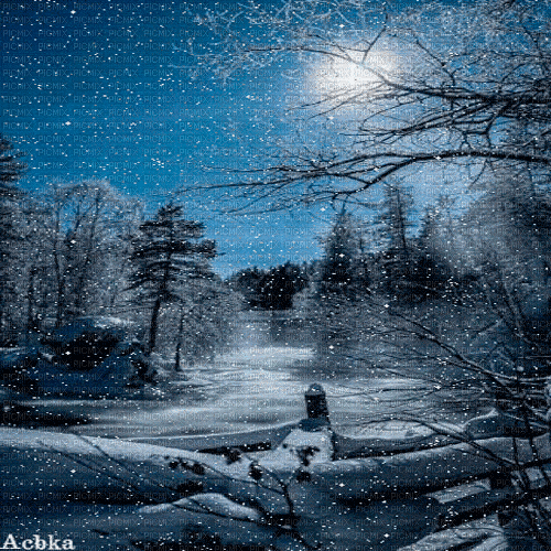winter  background by nataliplus - Безплатен анимиран GIF